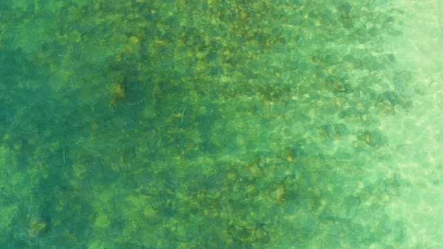 EL TULE BEACH LOS CABOS BCS MEXICO-2021: Clear Shallow Water with Moving Ripples and Rocky Bottom