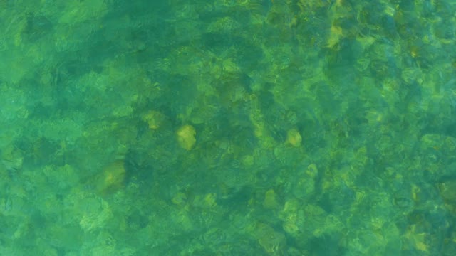 EL TULE BEACH LOS CABOS BCS MEXICO-2021: Rippling Clear Water Over Rocky Stream Bed