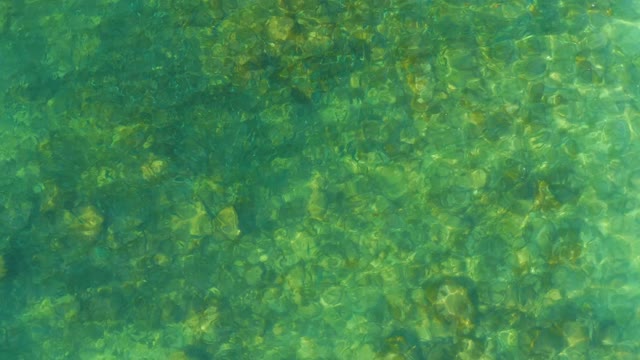 EL TULE BEACH LOS CABOS BCS MEXICO-2021: Shallow Clear Water with Rock Bed and Gentle Ripples