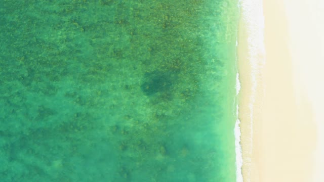 EL TULE BEACH LOS CABOS BCS MEXICO-2021: Waves Rolling Onto Sandy Shore From Above