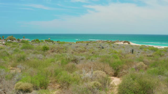 CABO PULMO LOS CABOS BCS MEXICO-2021: Coastal Shrubland and Turquoise Ocean View