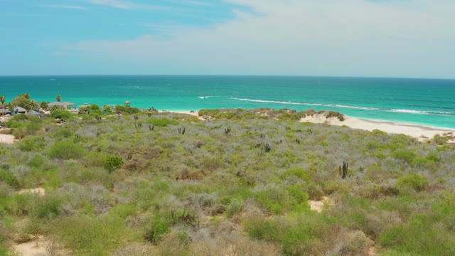 CABO PULMO LOS CABOS BCS MEXICO-2021: Coastal Shrubland and Sandy Beach by Ocean