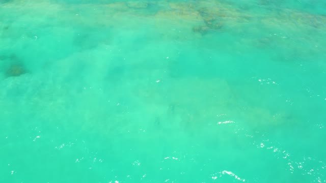 CABO PULMO LOS CABOS BCS MEXICO-2021: Shallow Turquoise Water with Underwater Fish and Coral