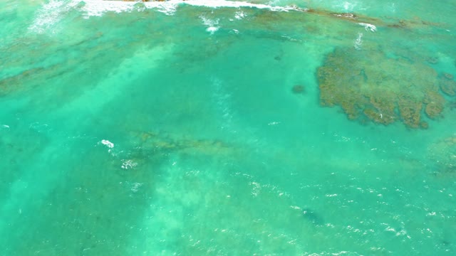 CABO PULMO LOS CABOS BCS MEXICO-2021: Coral Reefs in Clear Turquoise Ocean