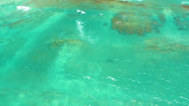 CABO PULMO LOS CABOS BCS MEXICO-2021: Clear Turquoise Ocean Surface with Gentle Wave Motion