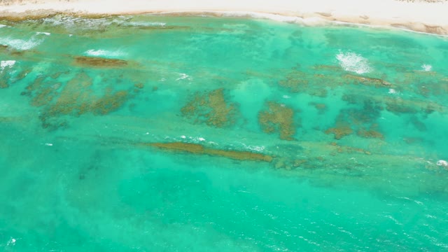 CABO PULMO LOS CABOS BCS MEXICO-2021: Shallow Turquoise Waters Revealing Coral Reefs by the Beach