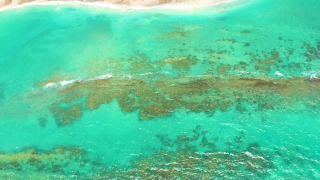 CABO PULMO LOS CABOS BCS MEXICO-2021: Coral Reefs and Turquoise Ocean Waves