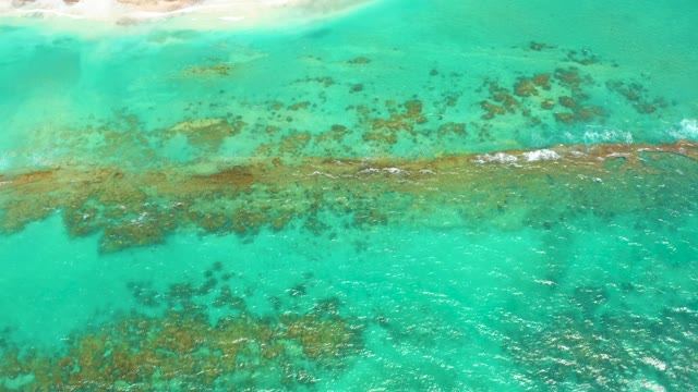 CABO PULMO LOS CABOS BCS MEXICO-2021: Gentle Waves Over Shallow Coral Reef