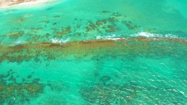 CABO PULMO LOS CABOS BCS MEXICO-2021: Shallow Turquoise Ocean with Coral Reef and Gentle Waves