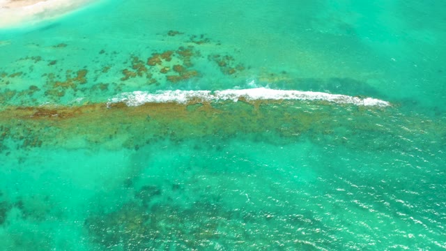 CABO PULMO LOS CABOS BCS MEXICO-2021: Wave Breaking Across Shallow Ocean Reef
