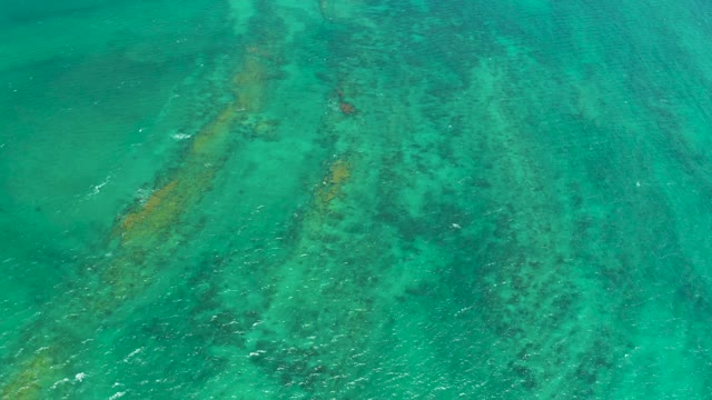 CABO PULMO LOS CABOS BCS MEXICO-2021: Clear Turquoise Water Over Coral and Rocky Seabed