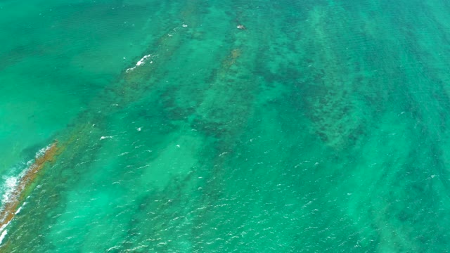 CABO PULMO LOS CABOS BCS MEXICO-2021: Clear Turquoise Ocean with Visible Coral Reefs