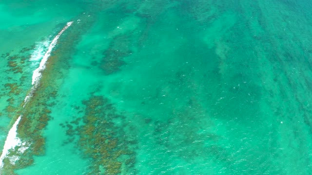 CABO PULMO LOS CABOS BCS MEXICO-2021: Shallow Turquoise Ocean with Moving Sandbar and Waves