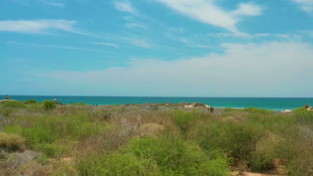 CABO PULMO LOS CABOS BCS MEXICO-2021: Dunes and Vegetation Unfolding to Ocean Shore