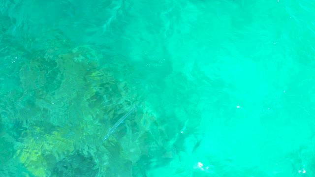EL TULE BEACH LOS CABOS BCS MEXICO-2021: Clear Turquoise Water with Small Fish and Rocky Seabed