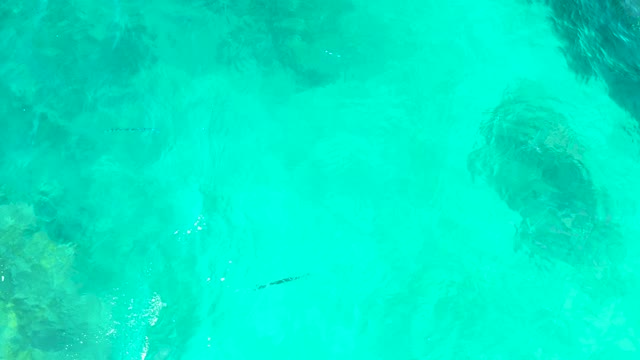 EL TULE BEACH LOS CABOS BCS MEXICO-2021: Fish Swimming in Clear Turquoise Water From Above