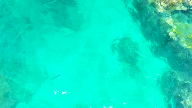 EL TULE BEACH LOS CABOS BCS MEXICO-2021: Overhead View of Clear Turquoise Water with Fish and Rocks