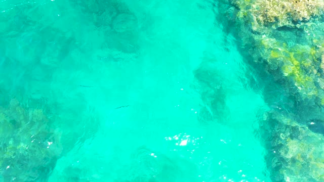 EL TULE BEACH LOS CABOS BCS MEXICO-2021: Overhead View of Small Fish in Clear Turquoise Water