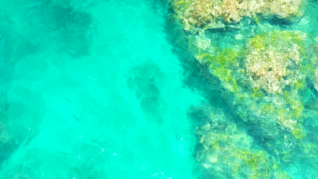 EL TULE BEACH LOS CABOS BCS MEXICO-2021: Overhead View of Small Fish in Clear Turquoise Water