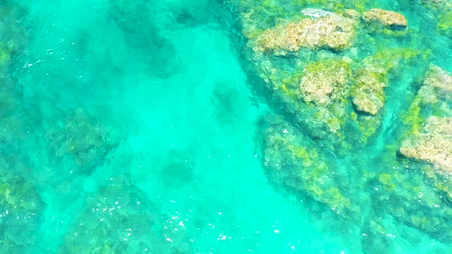 EL TULE BEACH LOS CABOS BCS MEXICO-2021: Clear Turquoise Water Over Rocky Seabed with Moving Fish