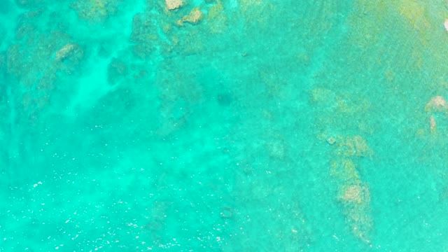 EL TULE BEACH LOS CABOS BCS MEXICO-2021: Shallow Ocean Water with Visible Seabed and Swimming Fish