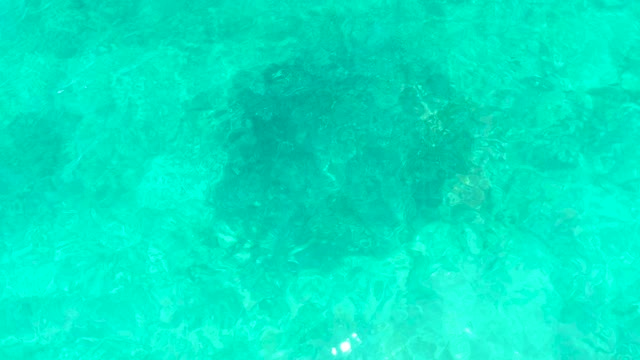EL TULE BEACH LOS CABOS BCS MEXICO-2021: Clear Turquoise Ocean Water with Visible Seabed