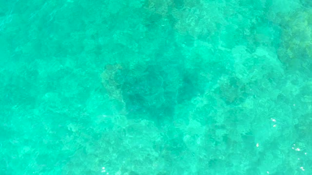 EL TULE BEACH LOS CABOS BCS MEXICO-2021: Sea Turtle Swimming in Clear Turquoise Water