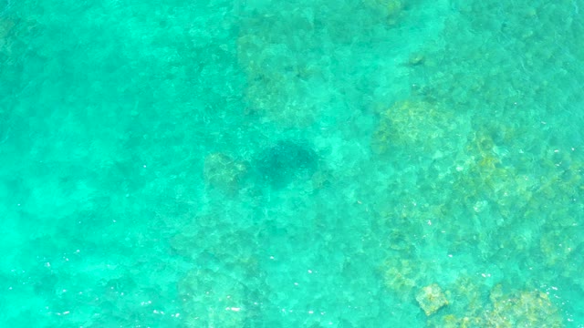 EL TULE BEACH LOS CABOS BCS MEXICO-2021: Sea Turtle Swimming in Turquoise Shallow Water