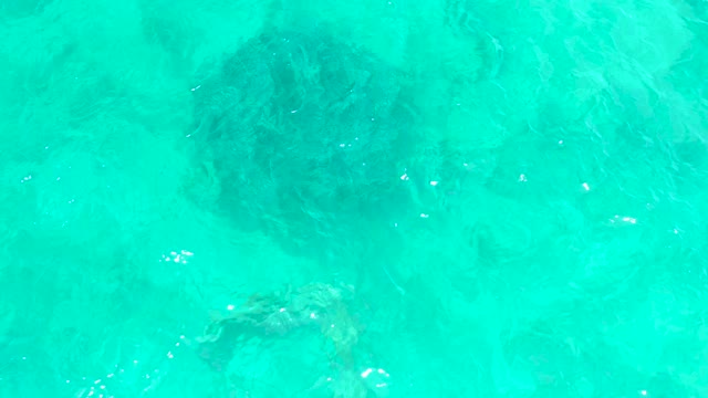 EL TULE BEACH LOS CABOS BCS MEXICO-2021: Underwater View Through Crystal Clear Turquoise Water