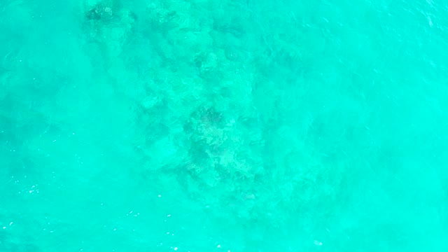 EL TULE BEACH LOS CABOS BCS MEXICO-2021: Turquoise Water Revealing Underwater Coral and Rocks