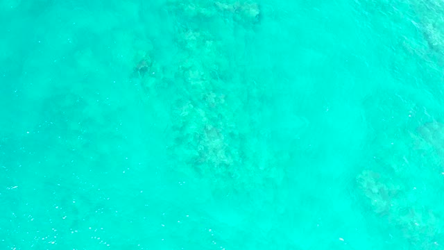 EL TULE BEACH LOS CABOS BCS MEXICO-2021: Shallow Clear Turquoise Ocean Water with Visible Seabed