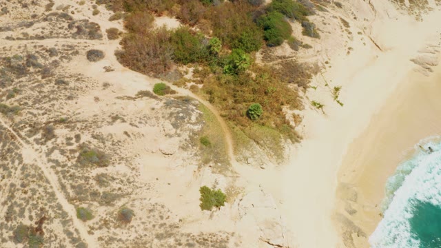 DREAMS LOS CABOS BCS MEXICO-2021: Windy Coastal Dunes with Shifting Vegetation and Ocean Waves