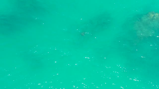 DREAMS LOS CABOS BCS MEXICO-2021: Submerged Motion in Clear Turquoise Ocean Water