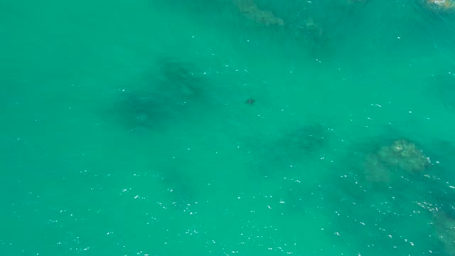 DREAMS LOS CABOS BCS MEXICO-2021: Clear Turquoise Ocean Water with Submerged Rocks and Moving Marine Life