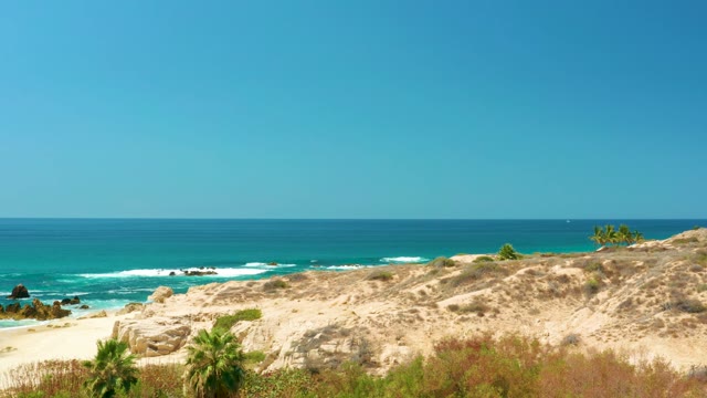 DREAMS LOS CABOS BCS MEXICO-2021: Swaying Dune Vegetation Overlooking Ocean and Beach