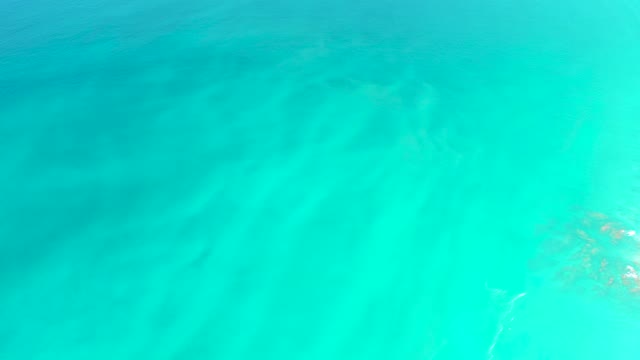DREAMS LOS CABOS BCS MEXICO-2021: Clear Turquoise Ocean Water with Submerged Vegetation