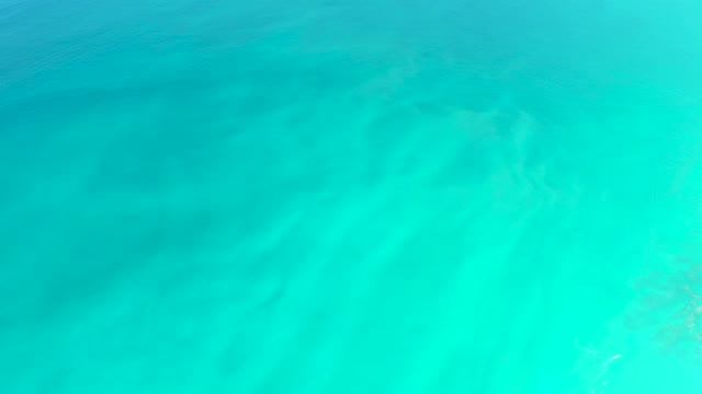 DREAMS LOS CABOS BCS MEXICO-2021: Gentle Underwater Plant Movement in Clear Turquoise Water