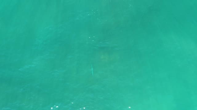 SAN LUIS BEACH EAST CAPE LOS CABOS MEXICO-2021: Clear Turquoise Ocean Water with Gentle Ripples