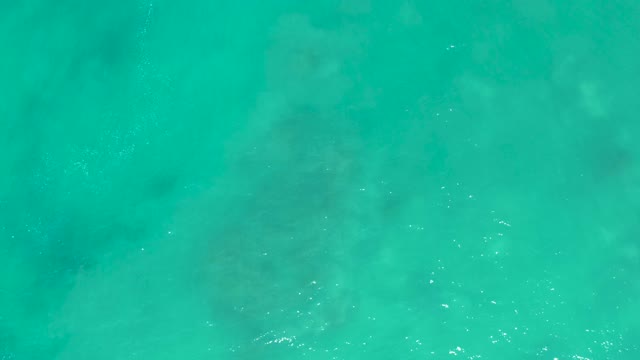SAN LUIS BEACH EAST CAPE LOS CABOS MEXICO-2021: Sea Turtle Gliding Through Shallow Turquoise Water