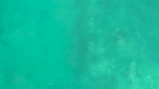 SAN LUIS BEACH EAST CAPE LOS CABOS MEXICO-2021: Small Fish Swimming in Clear Turquoise Water