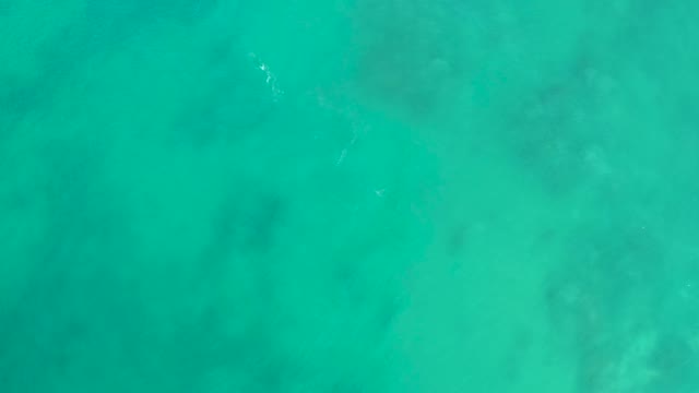 SAN LUIS BEACH EAST CAPE LOS CABOS MEXICO-2021: Swimmer in Clear Turquoise Ocean Water