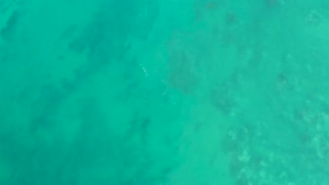 SAN LUIS BEACH EAST CAPE LOS CABOS MEXICO-2021: Clear Turquoise Water with Coral and Swimming Fish