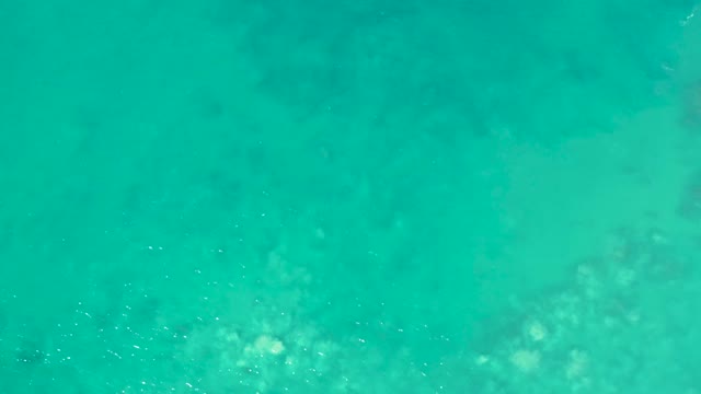 SAN LUIS BEACH EAST CAPE LOS CABOS MEXICO-2021: Fish Swimming in Shallow Turquoise Ocean Water