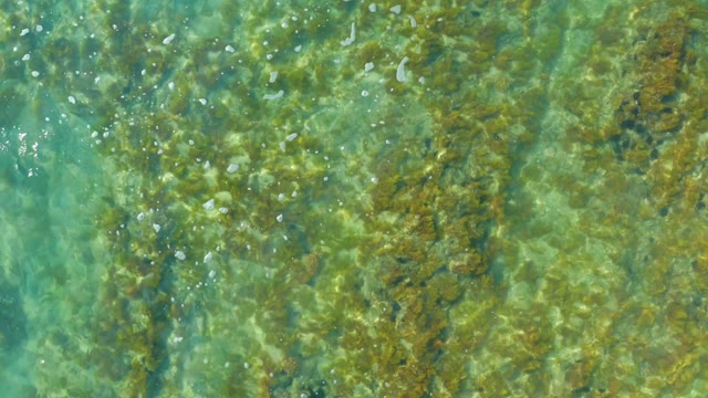 SAN LUIS BEACH EAST CAPE LOS CABOS MEXICO-2021: Shallow Turquoise Water Over Rocky Seabed