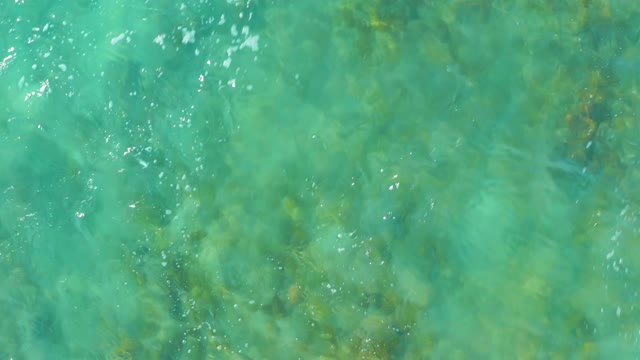 SAN LUIS BEACH EAST CAPE LOS CABOS MEXICO-2021: Shallow Clear Water with Visible Seabed and Seaweed