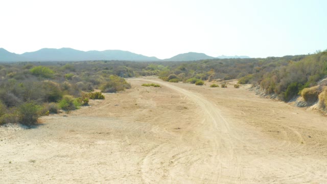 LOS FRALIES LOS CABOS BCS MEXICO-2021: Dirt Road Through Dry, Bushy Terrain