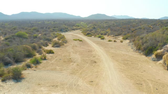LOS FRALIES LOS CABOS BCS MEXICO-2021: Dirt Road Winding Through Arid Bushland