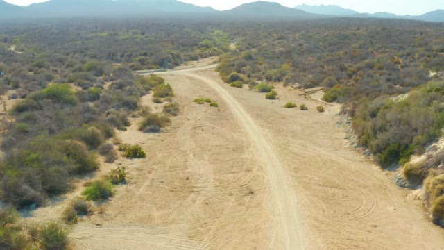 LOS FRALIES LOS CABOS BCS MEXICO-2021: Dirt Road Through Arid Bushland
