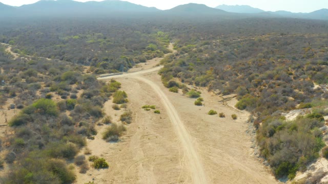 LOS FRALIES LOS CABOS BCS MEXICO-2021: Dirt Road Winding Through Arid Bushland