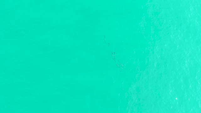 LOS FRALIES LOS CABOS BCS MEXICO-2021: Dissipating Whitecap Foam on Turquoise Ocean Water